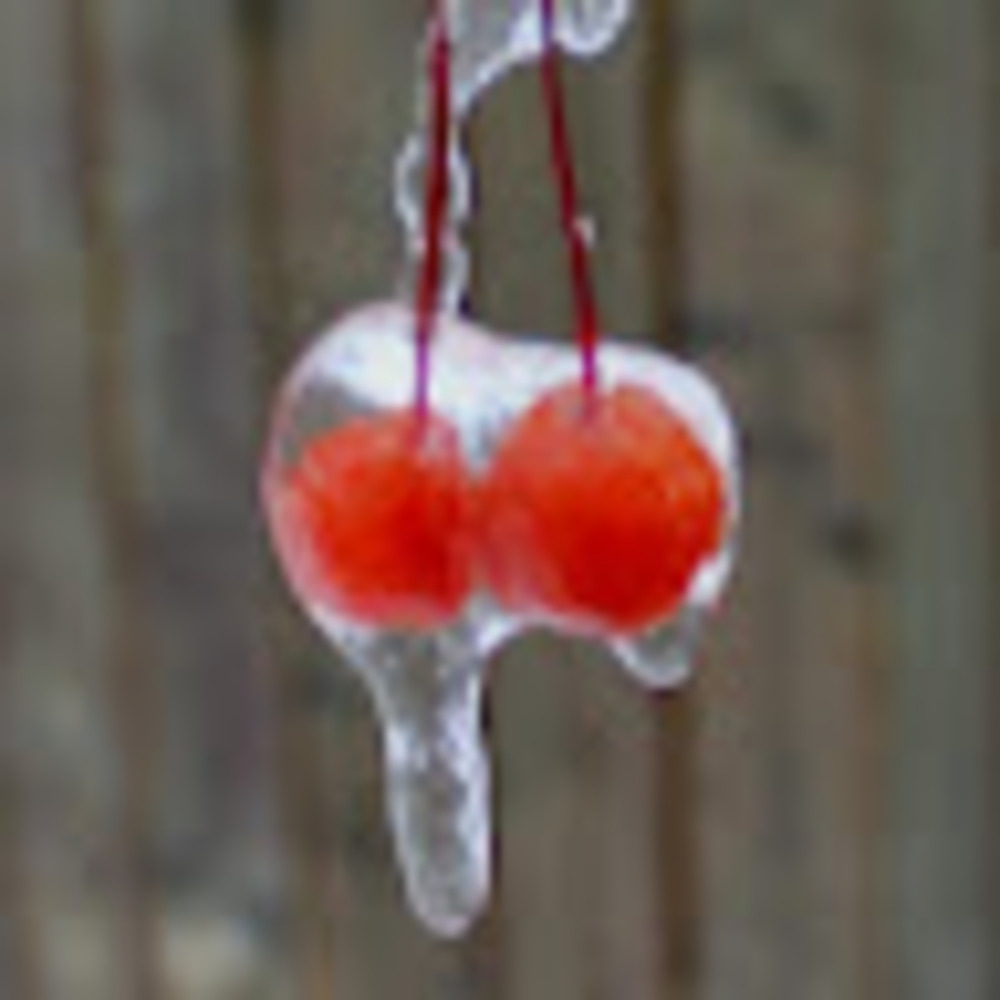 Meet your Posher, Yasmine